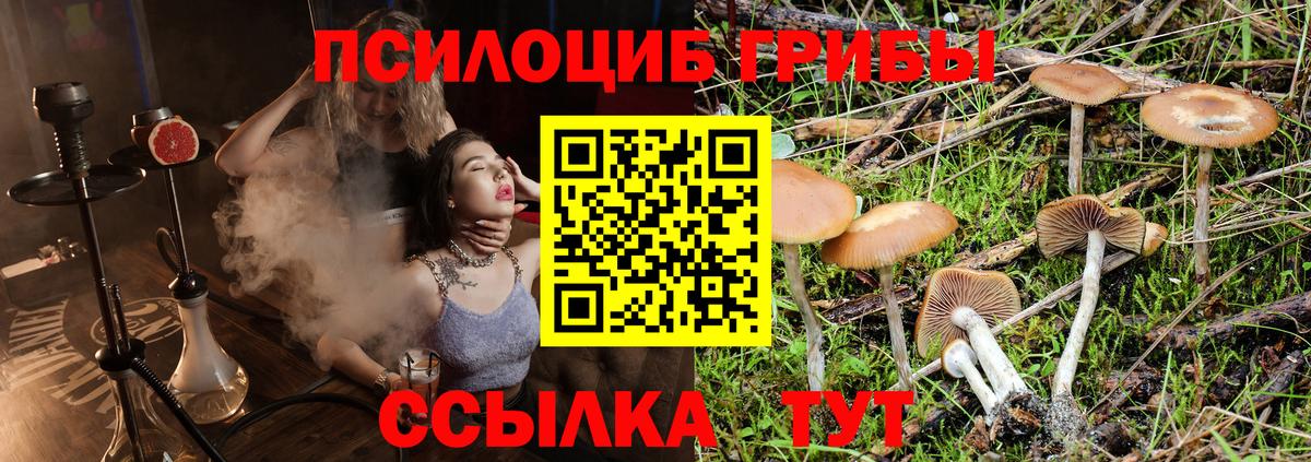 Лабытнанги  Галлюциногенные грибы MAGIC MUSHROOMS  Псилоцибиновые грибы прущие грибы  Вход с VPN 